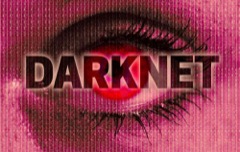 Кракен – новая платформа для сопровождения в сети.